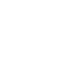safari