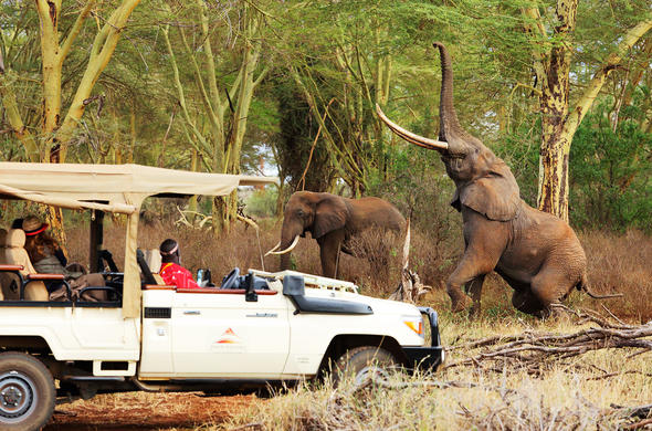 Elephants in Tsavo National Park