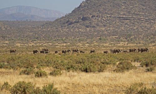 Samburu National Reserve