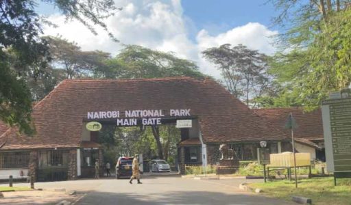 Nairobi National Park Entry
