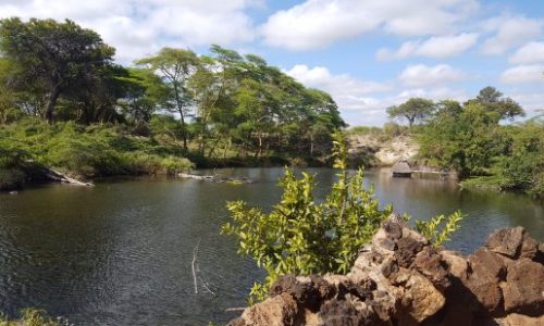 Tsavo National Park